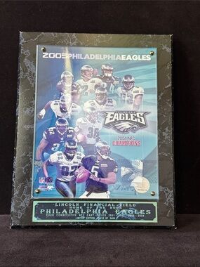 Philadelphia Eagles 2004 NFC Champions Framed Collectible #1912/3000